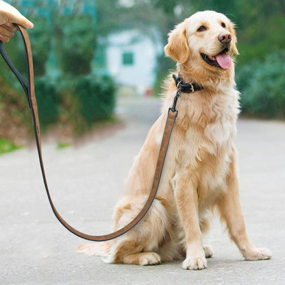 Dog Leash Harness Leather