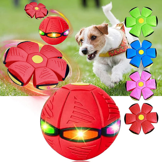 The Doggy Disc Ball Toy