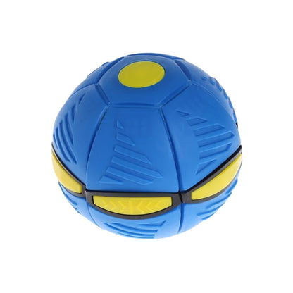 The Doggy Disc Ball Toy